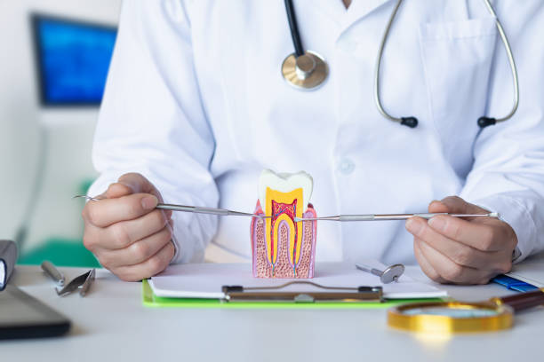 Best Emergency Orthodontic Repairs in Hazel Crest, IL